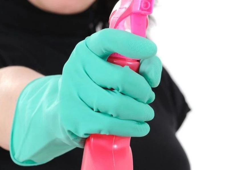 Έντομα στο σπίτι: Πώς να τα εξαφανίσετε χωρίς τη χρήση επικίνδυνων χημικών ουσιών